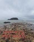 [충남한달살기] 체험후기 < 커뮤니티 < 충남관광  [충남한달살기] 체험후기 커뮤니티