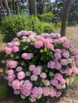 [충남한달살기] 체험후기 < 커뮤니티 < 충남관광  [충남한달살기] 체험후기 커뮤니티