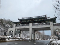 충남관광 서포터즈 < 충남방문의 해 < 충남관광  충남관광 서포터즈 충남방문의 해