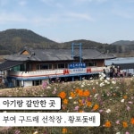 충남관광 서포터즈 < 충남방문의 해 < 충남관광  충남관광 서포터즈 충남방문의 해