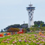 충남관광 서포터즈 < 충남방문의 해 < 충남관광  충남관광 서포터즈 충남방문의 해