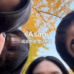 충남관광 서포터즈 < 충남방문의 해 < 충남관광  충남관광 서포터즈 충남방문의 해