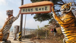 충남관광 서포터즈 < 충남방문의 해 < 충남관광  충남관광 서포터즈 충남방문의 해