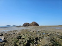 충남관광 
