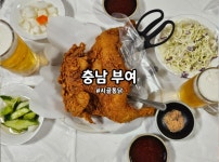 충남관광 서포터즈 < 충남방문의 해 < 충남관광  충남관광 서포터즈 충남방문의 해