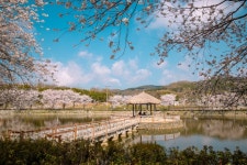 지도 < 관광지 < 여행지 < 충남관광  지도 관광지 여행지