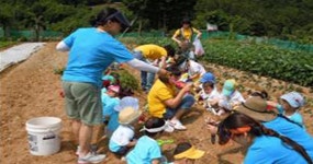 한눈에 거제 > 체험관광 > 농촌체험마을 > 연담녹색농촌체험휴양마을