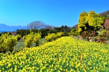 한눈에 거제 > 거제 9경9미9품 > 거제 9경 > 공곶이/내도
