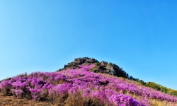 거제관광문화 : 거제여행 > 공원/유원지/관광농원 상세보기