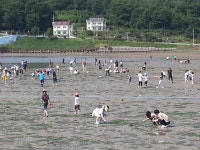 거제여행 > 공원/유원지/관광농원 > 상세보기 다대어촌체험마을