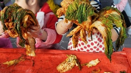 한눈에 거제 > 체험관광 > 농촌체험마을 > 둔덕포도축제 > 상세보기 부춘농촌체험휴양마을