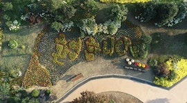 거제여행 > 숙박 > 지역별숙박 > 상세보기 거제섬꽃축제