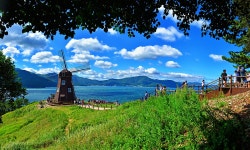 거제관광문화 : 커뮤니티>포토갤러리>바람의 언덕