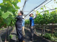 보도자료 상세보기 | 세계로 가는 평화의 도시 거제시