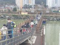 소통참여 > 거제미디어 > 보도자료 > 거제시, 수월 유수지 부교 안전한 통행로 확보 | 거제시청