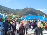 면동 > 연초면 > 열린마당 > 마을 이모저모 > 연초면 제2회 한들행복길 축제 | 거제시청