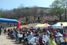 면동 > 장목면 > 열린마당 > 마을 이모저모 > 제21회 대금산 진달래 축제 | 거제시청