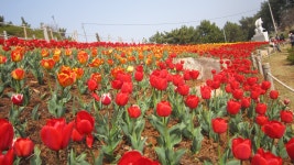 면동 > 능포동 > 열린마당 > 마을 이모저모 | 거제시청
