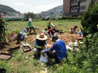 면동 > 능포동 > 열린마당 > 마을 이모저모 | 거제시청