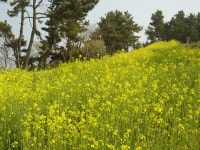 면동 > 능포동 > 열린마당 > 마을 이모저모 | 거제시청