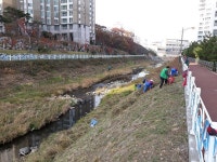 면동 > 수양동 > 열린마당 > 마을 이모저모 | 거제시청