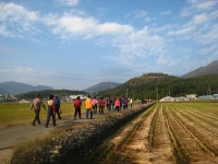 면동 > 거제면 > 열린마당 > 마을 이모저모 > 제4회 거제면민 한마음 걷기대회 (명진마을 농로를 지나면서~) | 거제시청