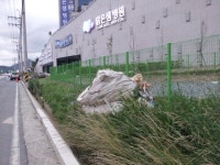 소통참여 > 시민참여 > 거제시에 바란다 > 2013.08.12 이전 나의민원확인 | 거제시청