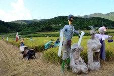 거제관광문화 : 커뮤니티 > 거제관광투어 SNS 공모전 > 제2회 거제관광투어블로그 상세보기