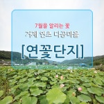 거제관광문화 : 커뮤니티 > 거제관광투어 SNS 공모전 > 제4회 거제관광투어블로그 상세보기