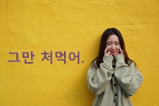 알록달록 볼거리가 많은 포토존 양림동 아래지역 펭귄마을&컬러마을 | 상세 | 포토존 : 광주관광 알록달록 볼거리가 많은 포토존 양림동 아래지역... 