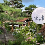 추천식당 : 광주관광 추천식당 : 광주관광 오매광주