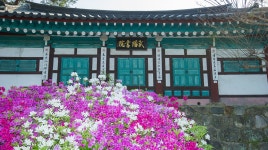 시지정 문화재 : 광주문화관광