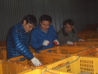 공지사항 | 경상남도 농업인력자원관리원
