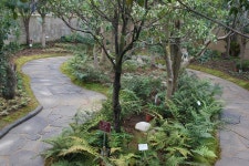 공지사항 | 경상남도 산림환경연구원