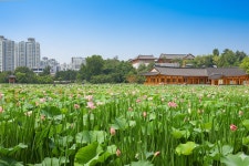 추천여행 > 스토리관광 | 천년의 가락과 기록이 살아 숨 쉬는 전주 글보기 비짓전주
