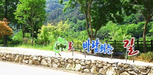 추천여행 > 여행코스 > 트레킹코스 | 전주의 ‘할머니 동네’ 색장동 원색명화마을 트래킹 코스 글보기 비짓전주