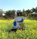 전주 이야기 > 지금 전주 | [2022.05] 전주대학교 스타정원 글보기 비짓전주