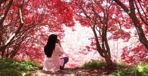 전주 이야기 > 지금 전주 | [2022.05] 완산꽃동산 글보기 비짓전주