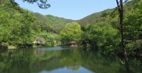 전주 이야기 > 지금 전주 | [2022.05] 맏내호수, 학산숲속시집도서관 글보기 비짓전주