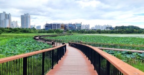 Jeonju Excursion > Now in Jeonju | [2022.09] Gijije Waterside Park 글보기 VISIT JEONJU