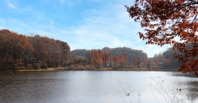 전주 나들이 > 지금 전주는 | [2023.11] 산책하기 좋은 둘레길, 오송제 생태공원 글보기 비짓전주