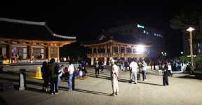 전주 나들이 > 지금 전주는 | [2025.07] 야간관광, 맛있는 전주심야극장 글보기 비짓전주