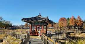 전주 나들이 > 지금 전주는 | [2025.11] 새로운 모습으로 변신 중인 덕진공원 글보기 비짓전주