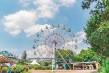 전주 나들이 > 주요명소 > 주요관광지 | 전주동물원 글보기 비짓전주