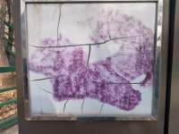 전주 나들이 > 향토유산 | 만경대 암각서 글보기 비짓전주