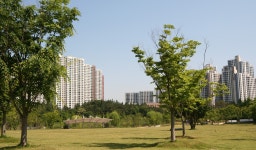 전주 나들이 > 주요명소 > 자연·생태 | 세병공원 글보기 비짓전주