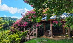 전주 나들이 > 주요명소 > 자연·생태 | 완산꽃동산(완산칠봉꽃동산) 글보기 비짓전주