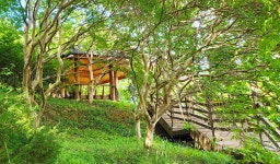 전주 나들이 > 주요명소 > 자연·생태 | 완산꽃동산(완산칠봉꽃동산) 글보기 비짓전주