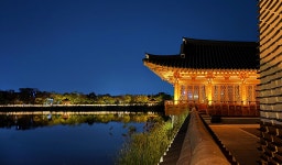 전주 나들이 > 주요명소 > 자연·생태 | 덕진공원 글보기 비짓전주