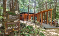전주 나들이 > 문화시설 비짓전주